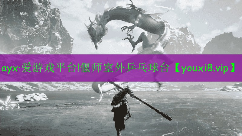 ayx·愛游戲平臺!偃師室外乒乓球臺
