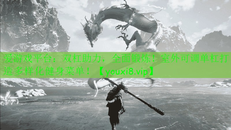 雙杠助力，全面鍛煉！室外可調(diào)單杠打造多樣化健身菜單！
