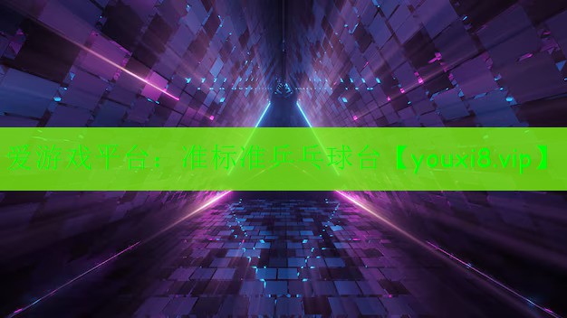 準(zhǔn)標(biāo)準(zhǔn)乒乓球臺(tái) 準(zhǔn)標(biāo)準(zhǔn)乒乓球臺(tái)